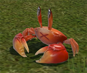 crab.jpg
